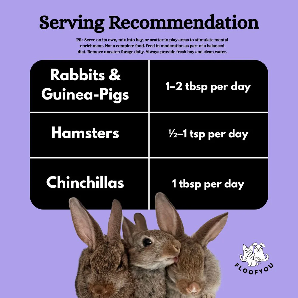 FloofYou Fibre Rich Forage Mix Rabbit Treats - Image 4