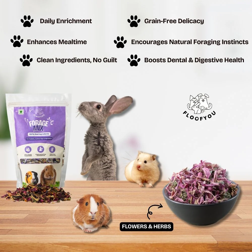 FloofYou Fibre Rich Forage Mix Rabbit Treats - Image 6