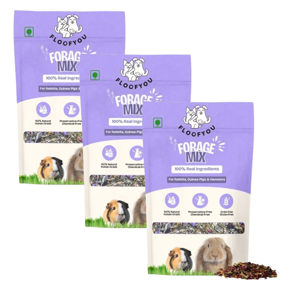 FloofYou Fibre Rich Forage Mix Rabbit Treats - Image 9