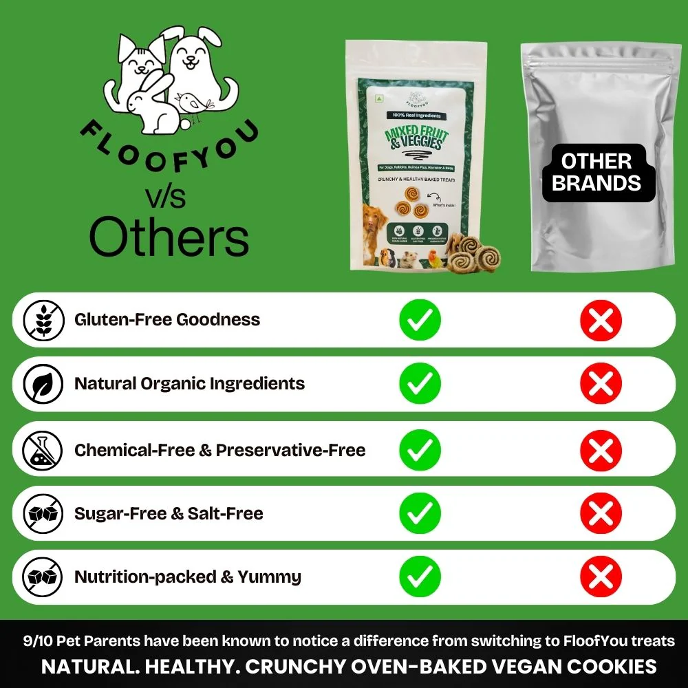 FloofYou Oven Baked Mixed Fruit and Veggies Dog Treats - Image 3