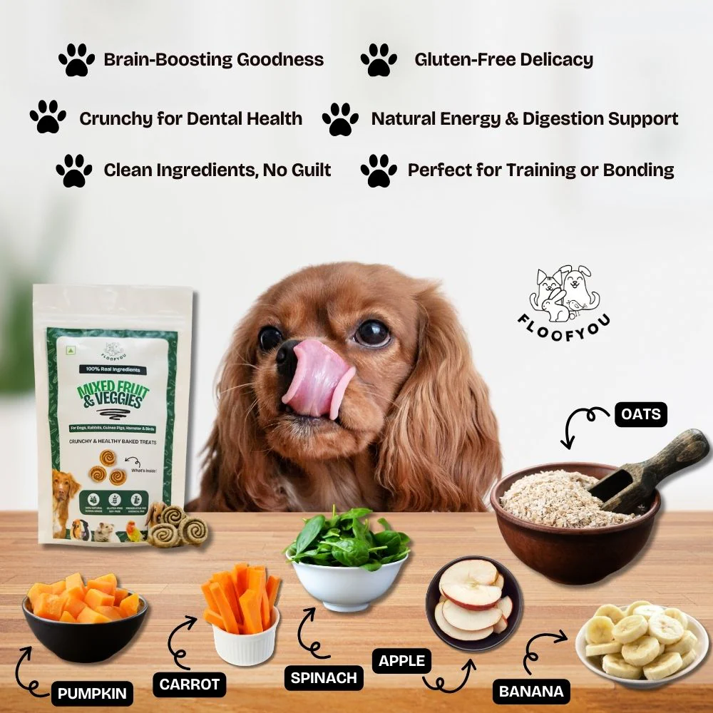 FloofYou Oven Baked Mixed Fruit and Veggies Dog Treats - Image 5