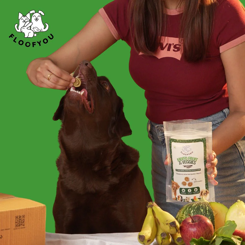 FloofYou Oven Baked Mixed Fruit and Veggies Dog Treats - Image 8