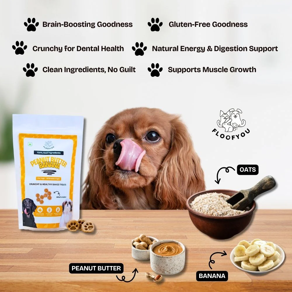 FloofYou Oven Baked Peanut Butter & Banana Dog Treats - Image 5
