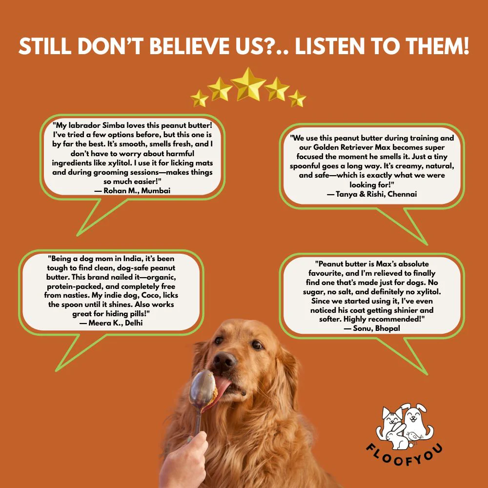 FloofYou Unsweetened & Natural Peanut Butter Dog Treats - Image 2