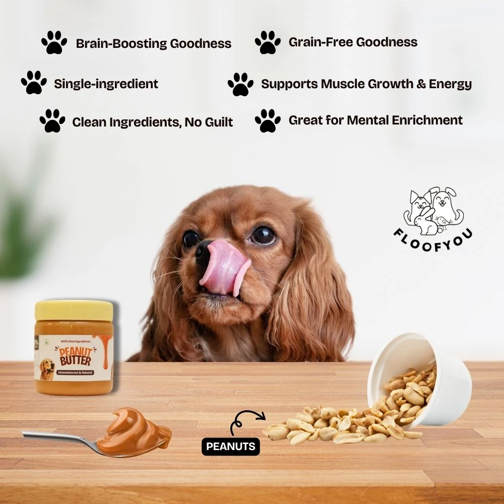 FloofYou Unsweetened & Natural Peanut Butter Dog Treats - Image 6