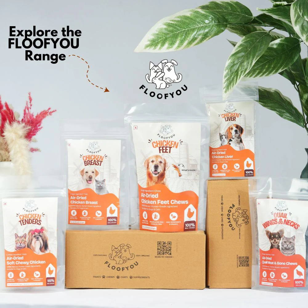 FloofYou Unsweetened & Natural Peanut Butter Dog Treats - Image 8
