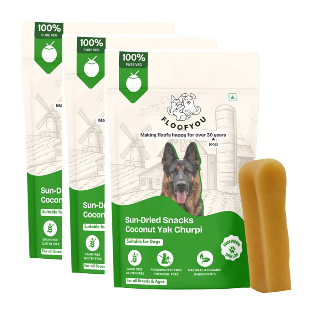 FloofYou Sun Dried Coconut Yak Churpi Chew Dogs Treat - Image 10