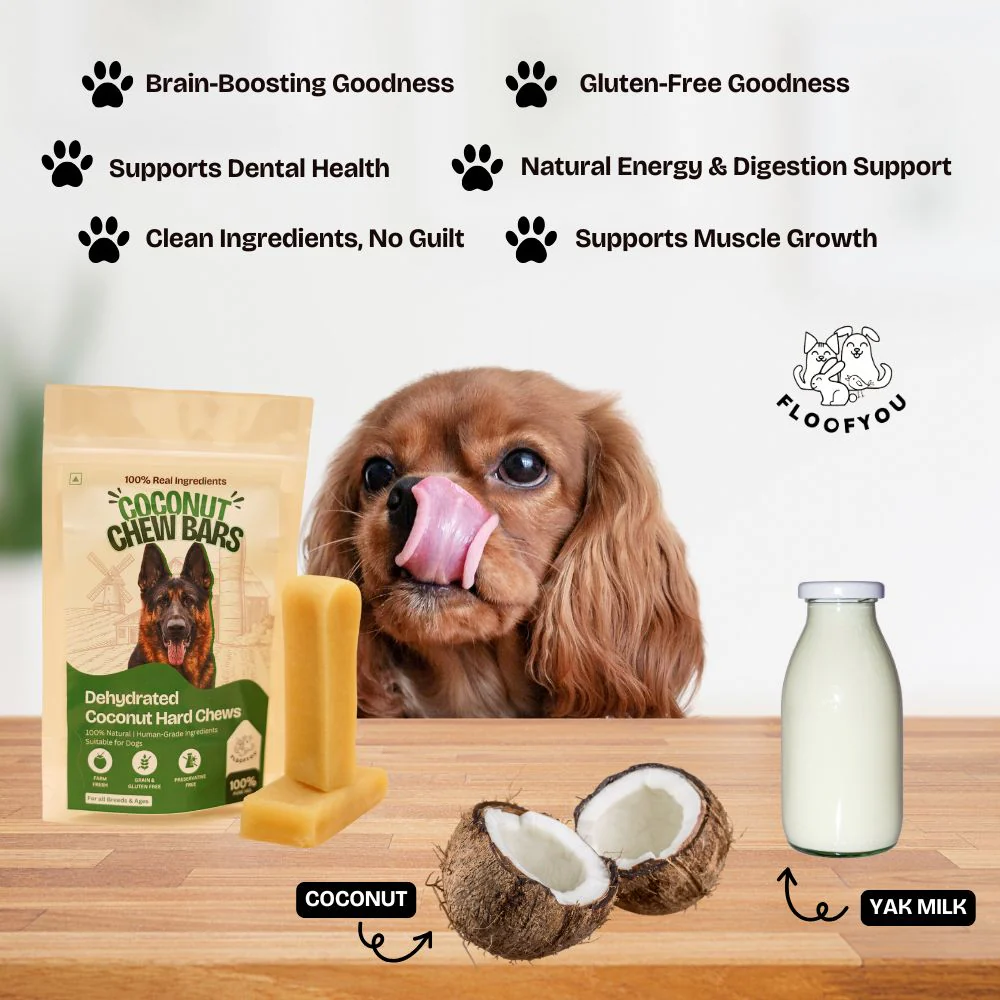 FloofYou Sun Dried Coconut Yak Churpi Chew Dogs Treat - Image 2
