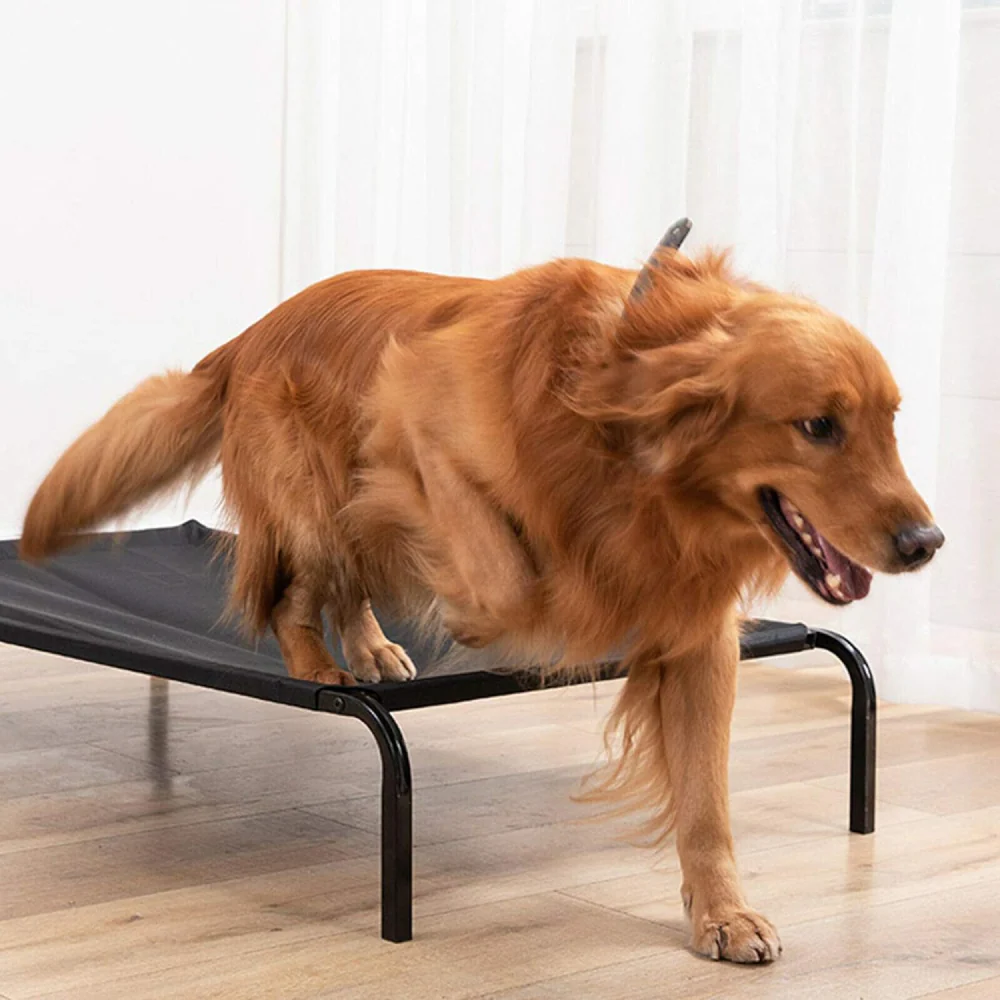 Fluffy's Pawsome Waterproof elevated Sides Camping Bed for Dogs (Black) - Image 4