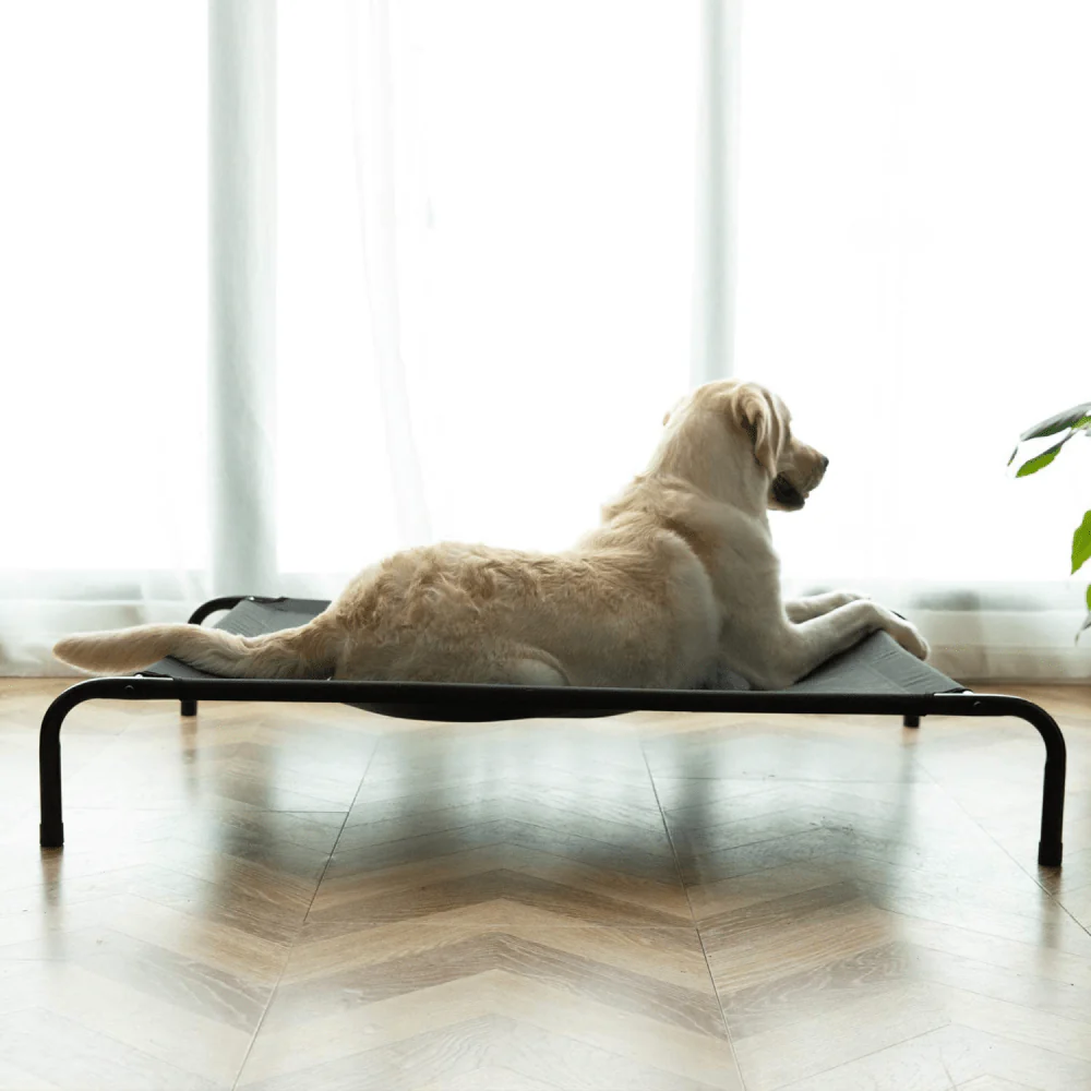 Fluffy's Pawsome Waterproof elevated Sides Camping Bed for Dogs (Grey) - Image 5