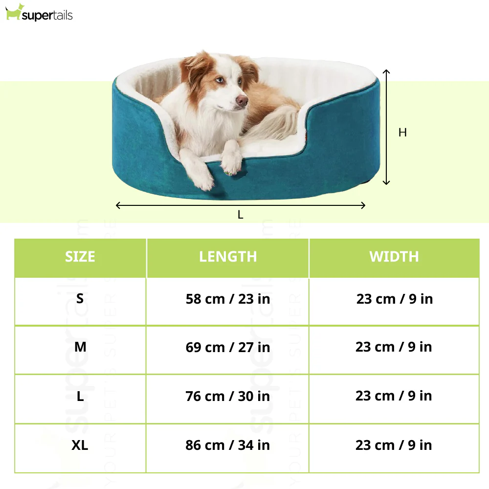 Fluffy's Petslover Warm Fleece Winter Round Shape Reversible Ultra Soft Bed with Cushion Pillow for Dogs and Cats (Sky Blue) - Image 2