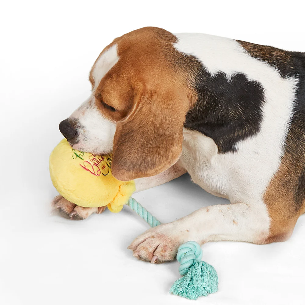 Barkbutler x Fofos Birthday Balloon Plush Toy for Dogs - Image 9