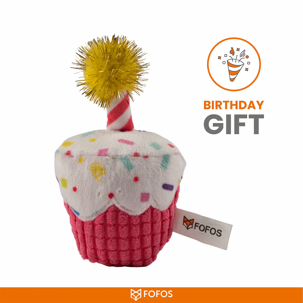 Barkbutler x Fofos Birthday Cake Catnip Toy for Cats - Image 3