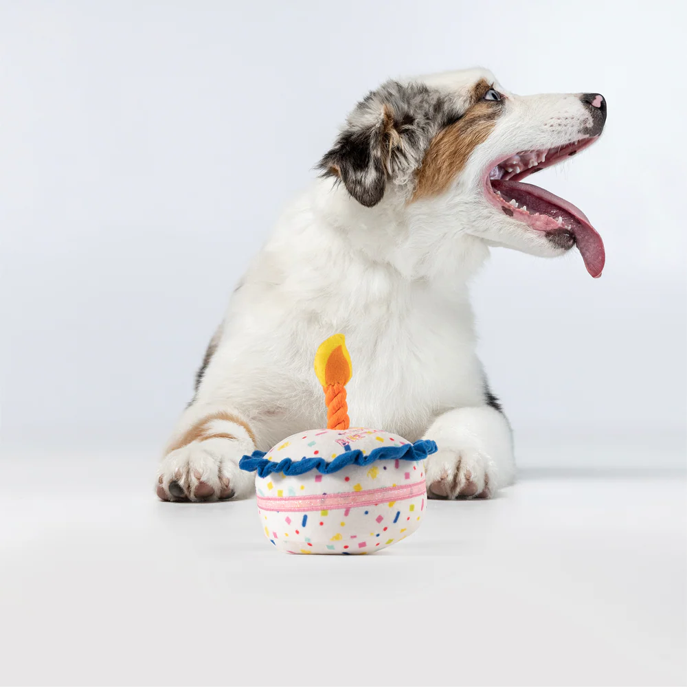 Barkbutler x Fofos Birthday Cake Plush Toy for Dogs - Image 9