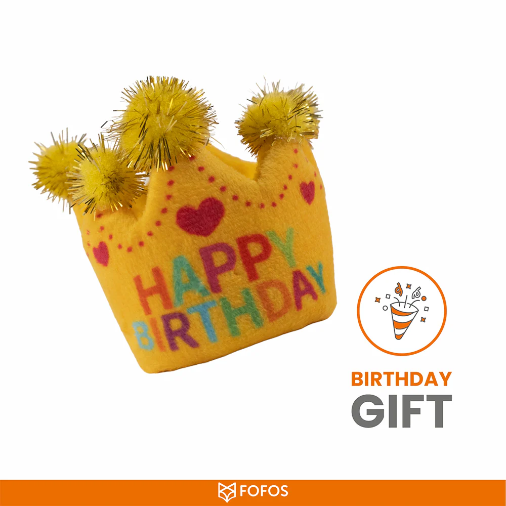 Barkbutler x Fofos Birthday Crown Catnip Toy for Cats - Image 3