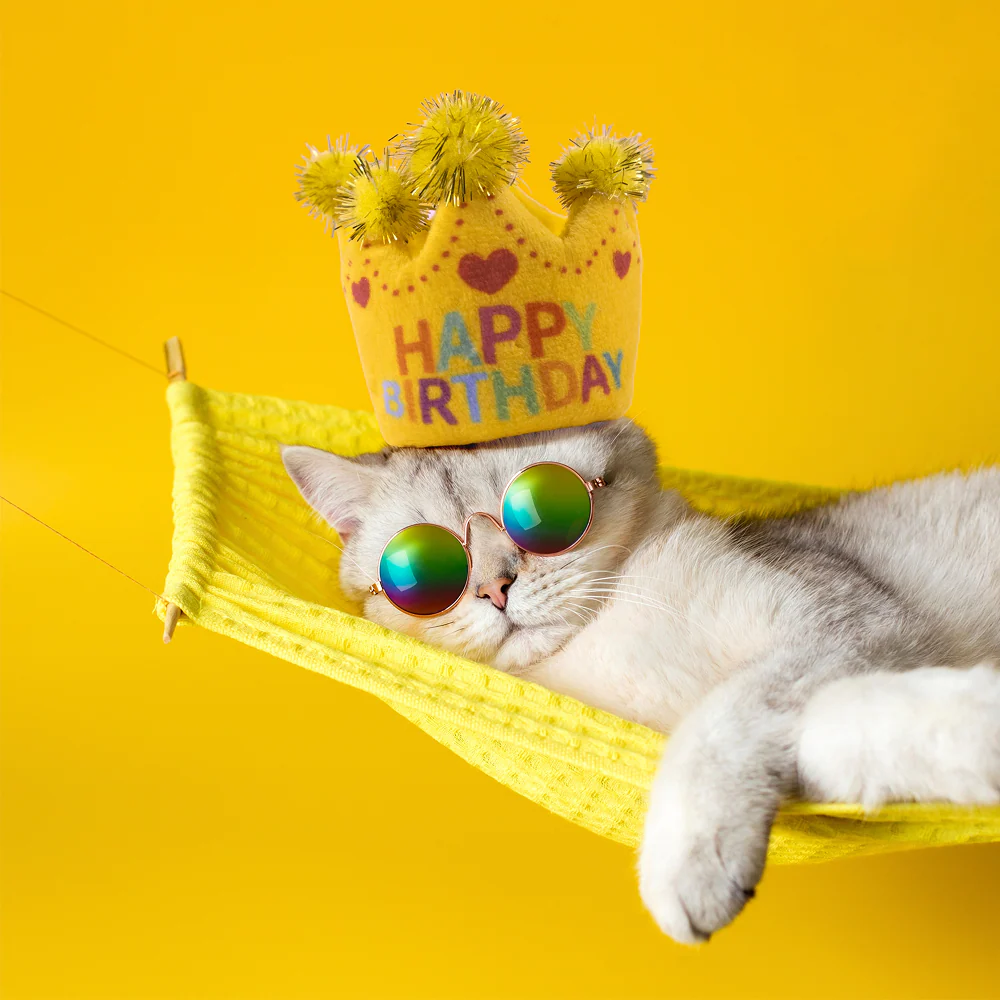 Barkbutler x Fofos Birthday Crown Catnip Toy for Cats - Image 7