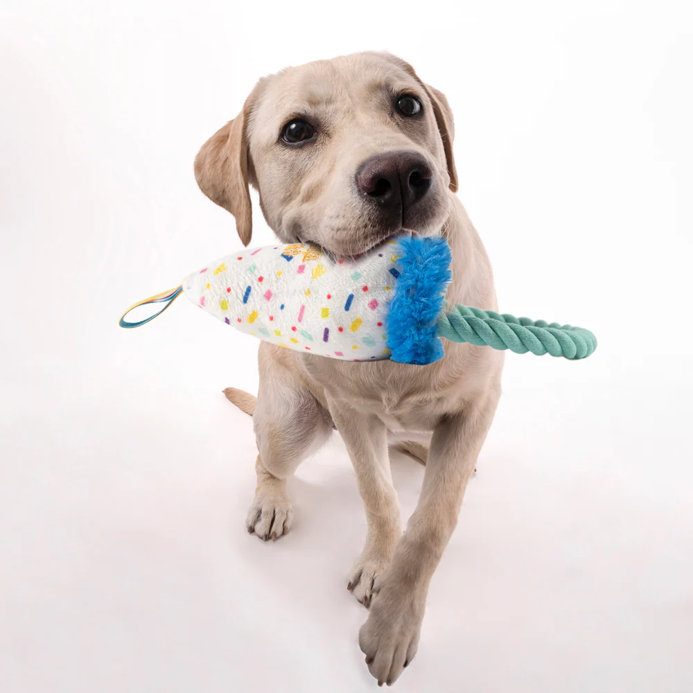 Barkbutler x Fofos Birthday Hat Plush Toy for Dogs - Image 9