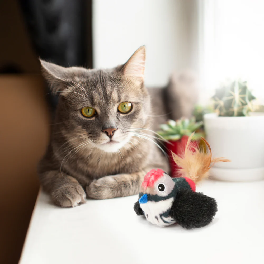 Barkbutler x Fofos Black Bird with Catnip Balls Interactive Toy for Cats (Black) - Image 8