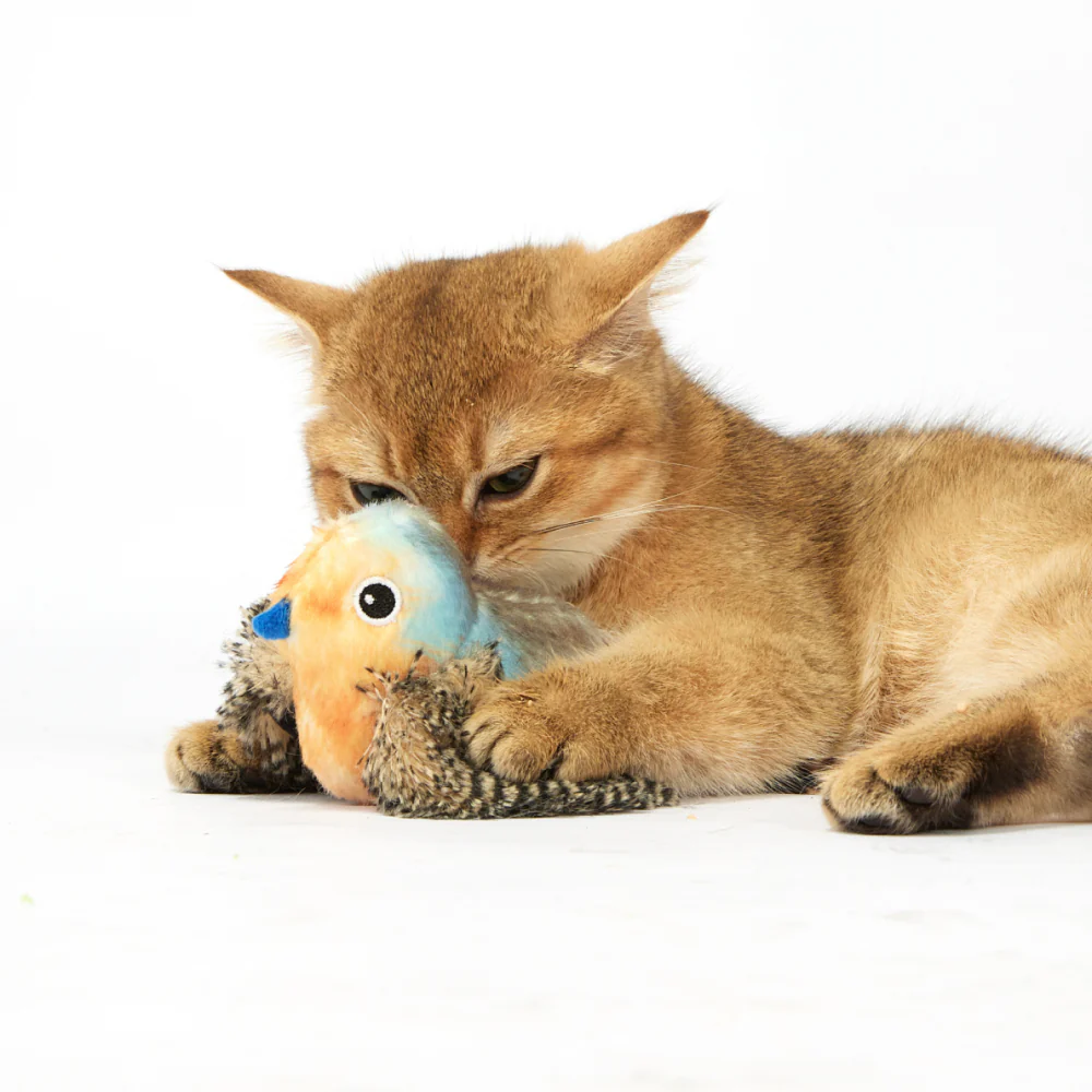 Barkbutler x Fofos Blue Bird with Catnip Balls Interactive Toy for Cats - Image 8