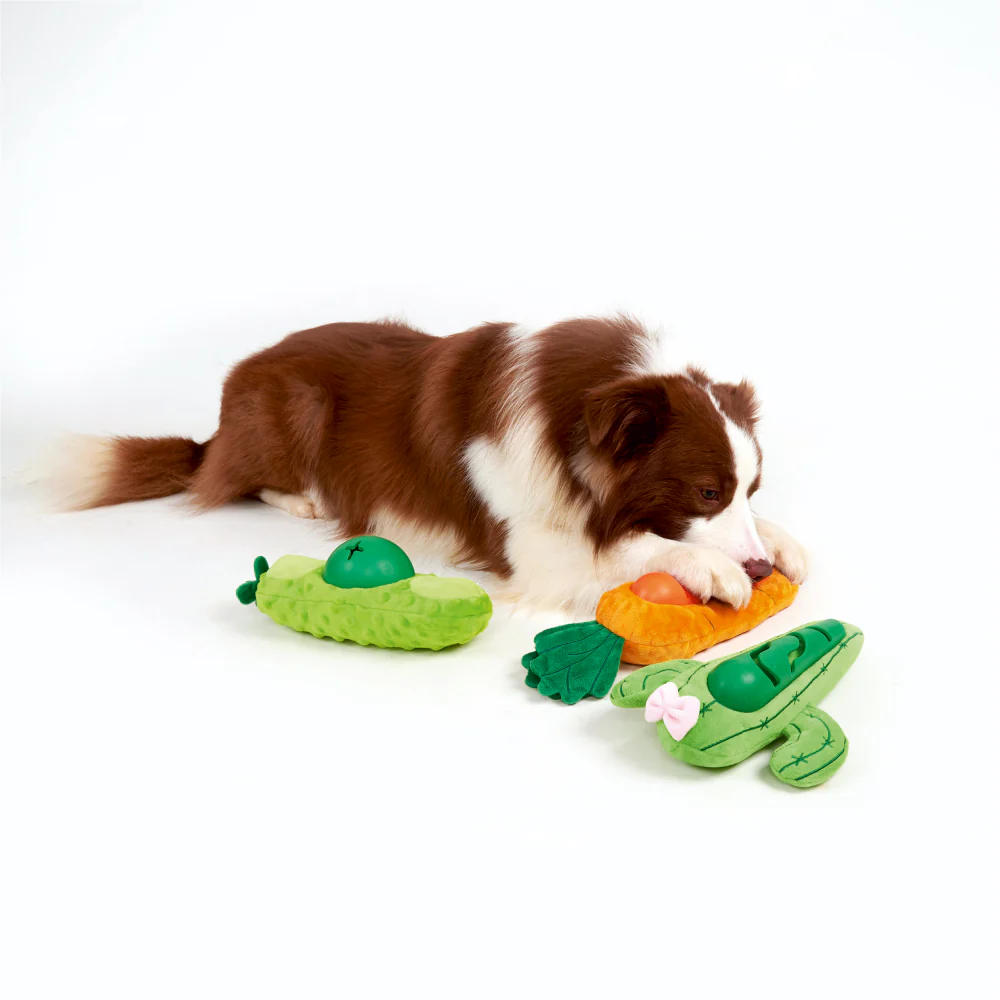 Barkbutler x Fofos Cactus Treat Toy for Dogs (Green) - Image 7