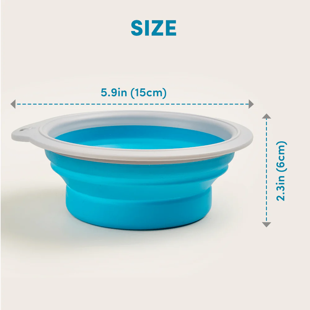 Barkbutler x Fofos Collapsible Bowl for Dogs (Green) - Image 2