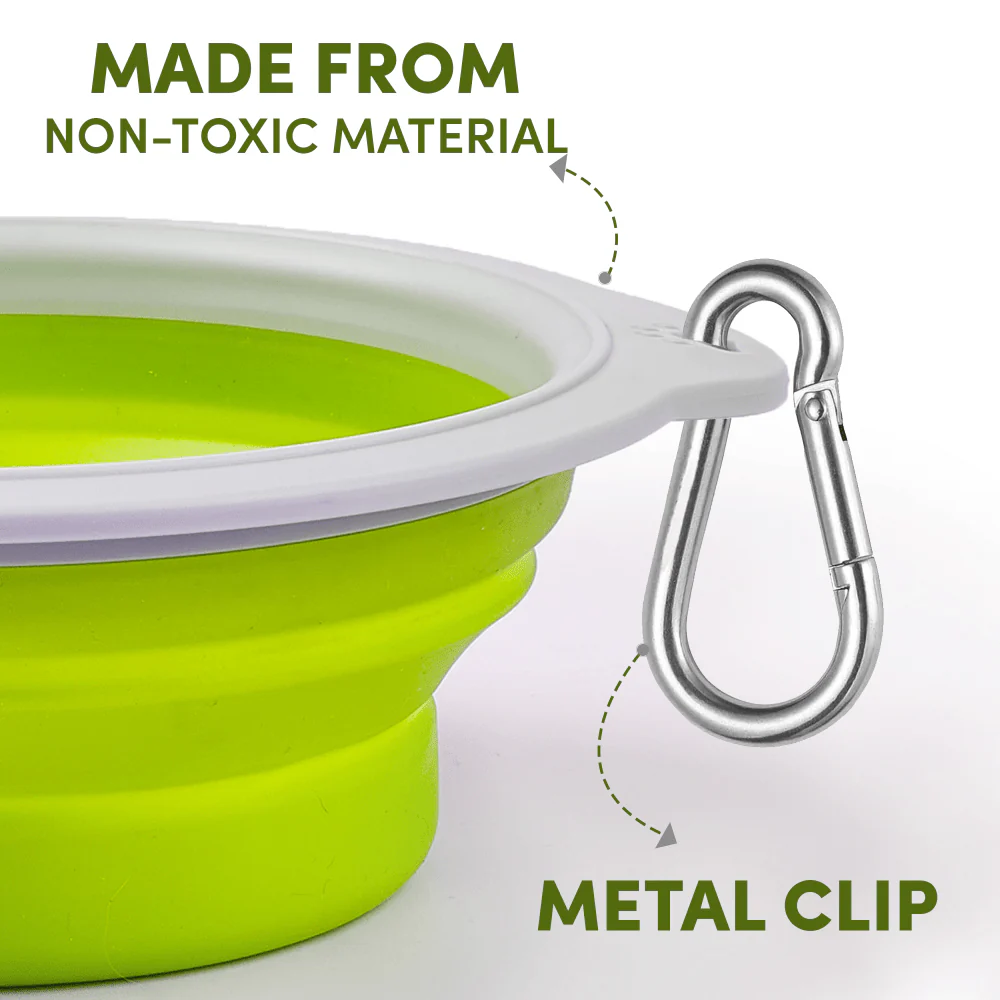 Barkbutler x Fofos Collapsible Bowl for Dogs (Green) - Image 4