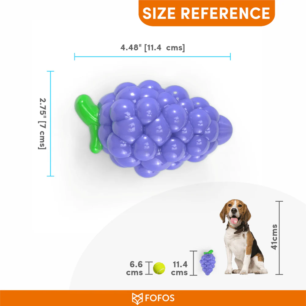 Barkbutler x Fofos Crazy Grape Squeaky Chew Toy for Dogs | For Medium Chewers (Blue) - Image 3