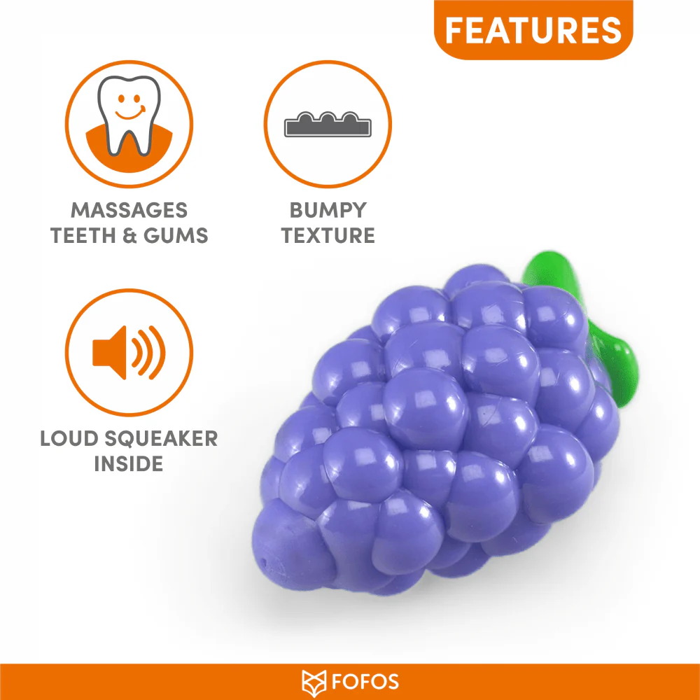 Barkbutler x Fofos Crazy Grape Squeaky Chew Toy for Dogs | For Medium Chewers (Blue) - Image 5