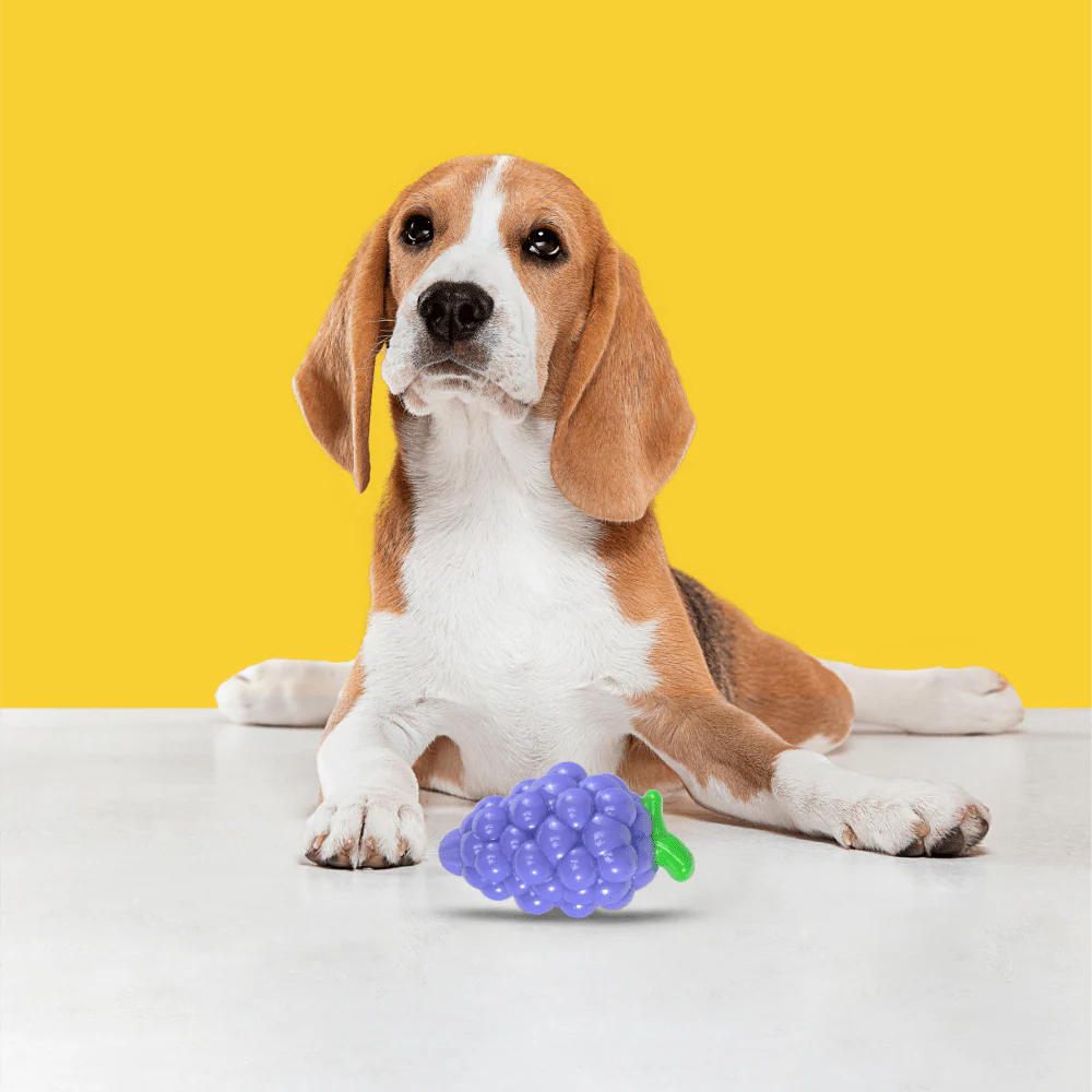 Barkbutler x Fofos Crazy Grape Squeaky Chew Toy for Dogs | For Medium Chewers (Blue) - Image 6