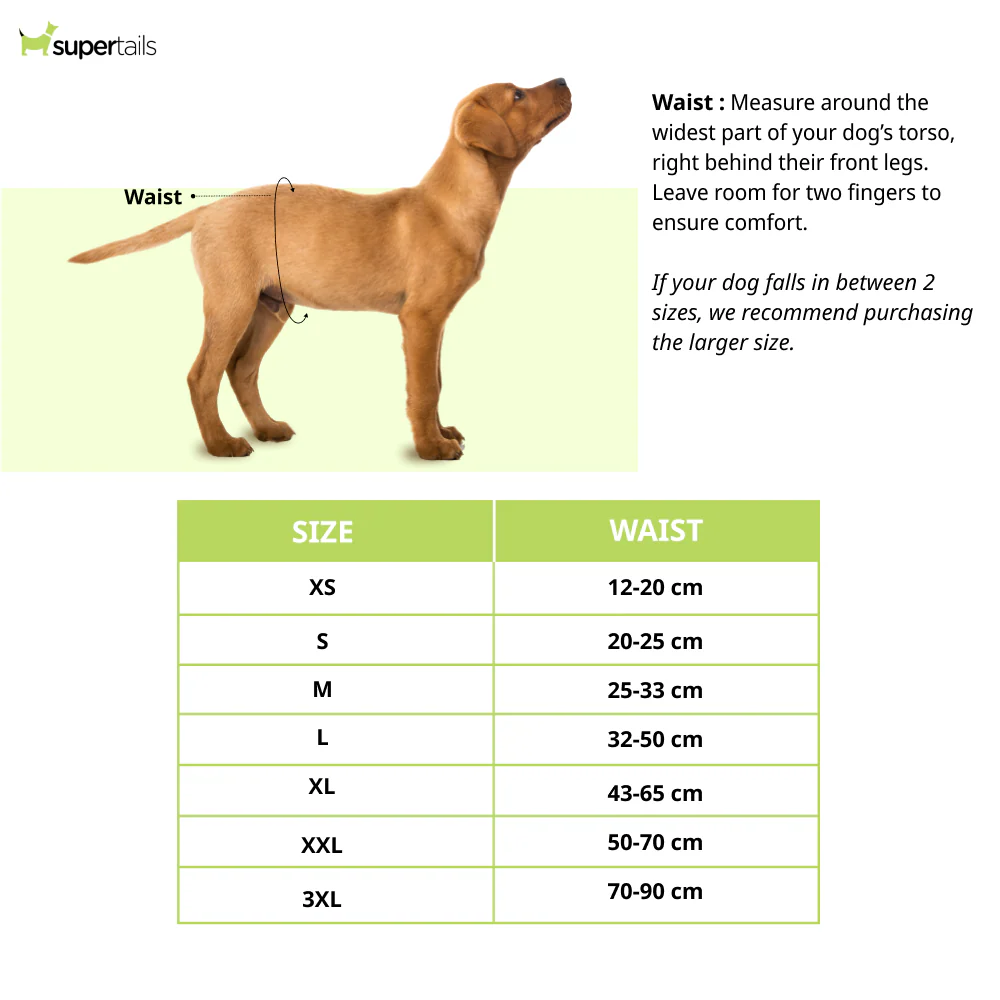 Barkbutler x Fofos Diaper for Female Dogs (25x33cm) - Image 2