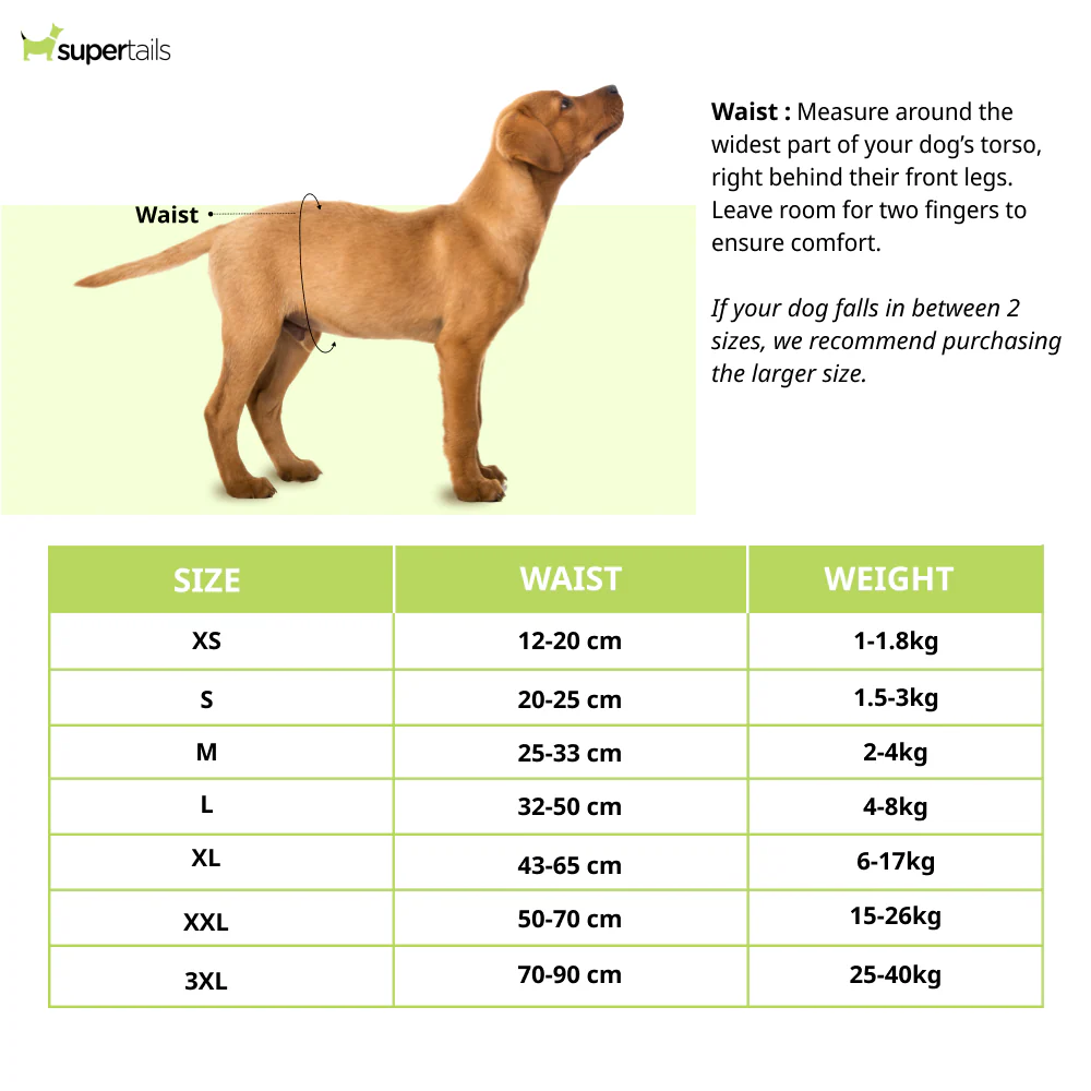 Barkbutler x Fofos Diaper for Male Dog (32x50cm) - Image 2