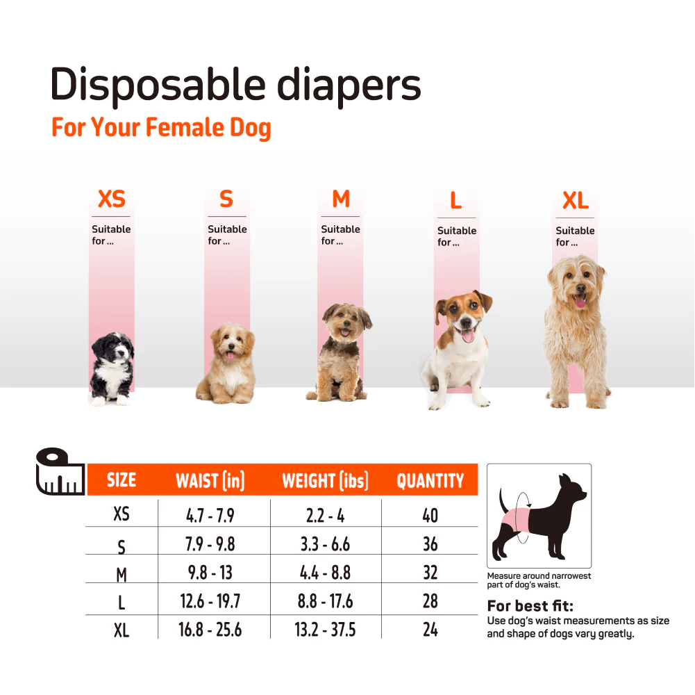 Barkbutler x Fofos Diaper for Male Dog (32x50cm) - Image 3