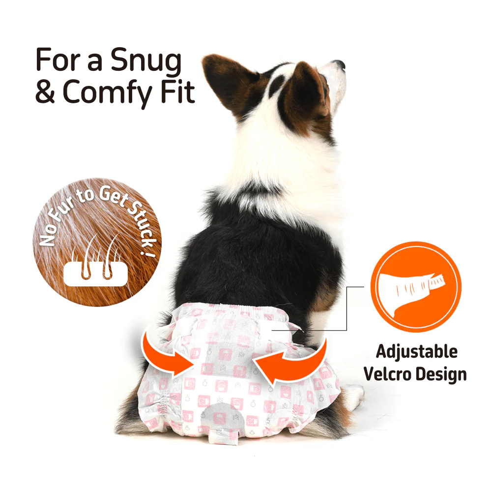 Barkbutler x Fofos Diaper for Male Dog (32x50cm) - Image 5