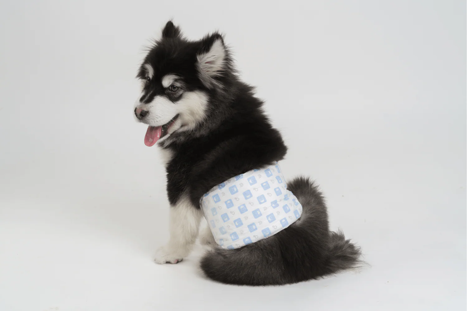 Barkbutler x Fofos Diaper for Male Dog (32x50cm) - Image 9