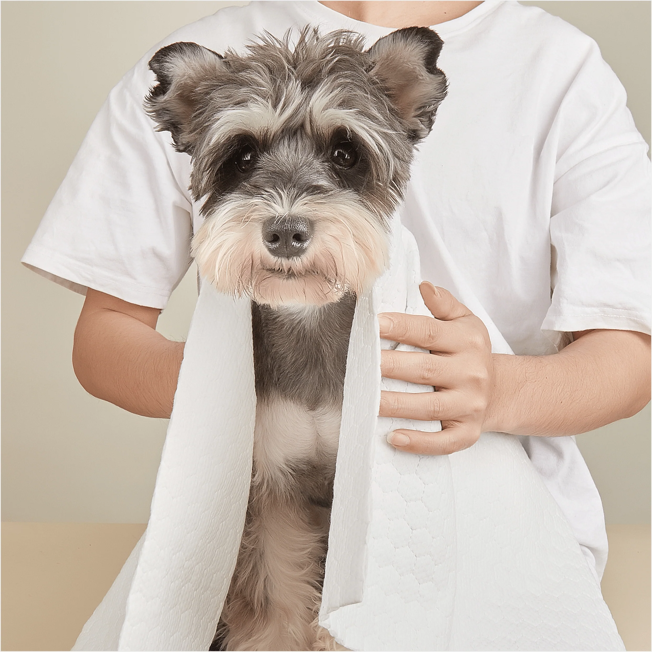 Barkbutler x Fofos Disposable Towels for Dogs - Image 7