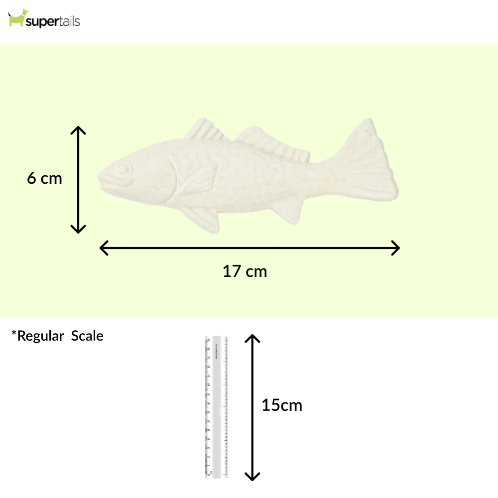 Barkbutler x Fofos Durable Cuttlefish Chew Toy for Dogs - Image 2