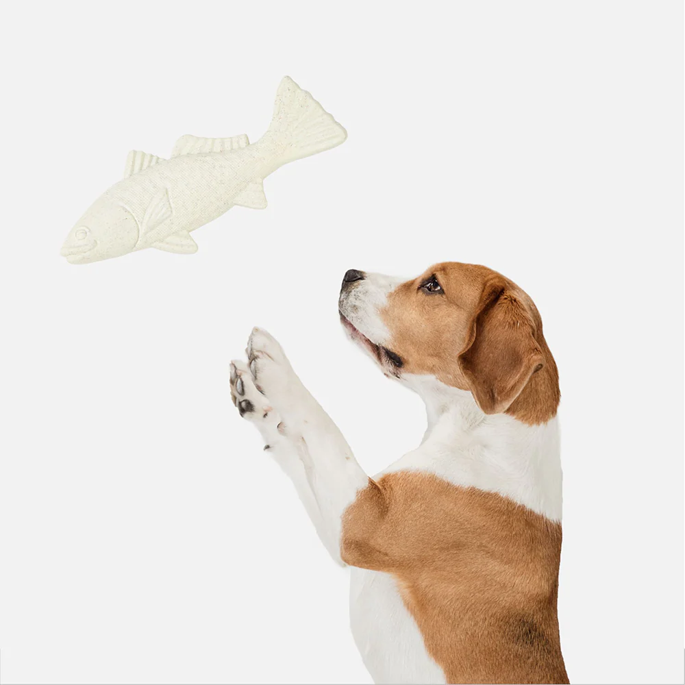 Barkbutler x Fofos Durable Cuttlefish Chew Toy for Dogs - Image 8