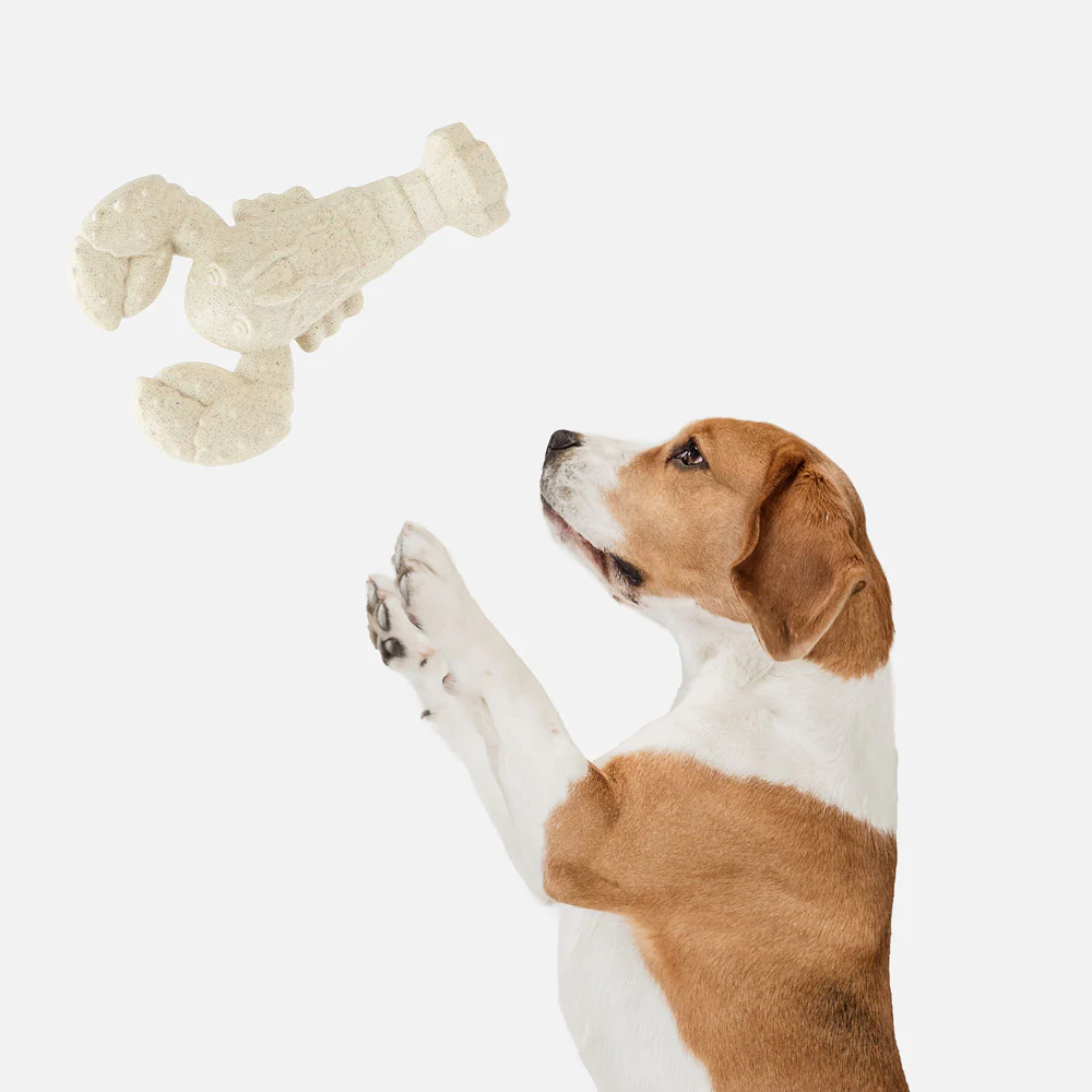 Barkbutler x Fofos Durable Lobster Chew Toy for Dogs - Image 8