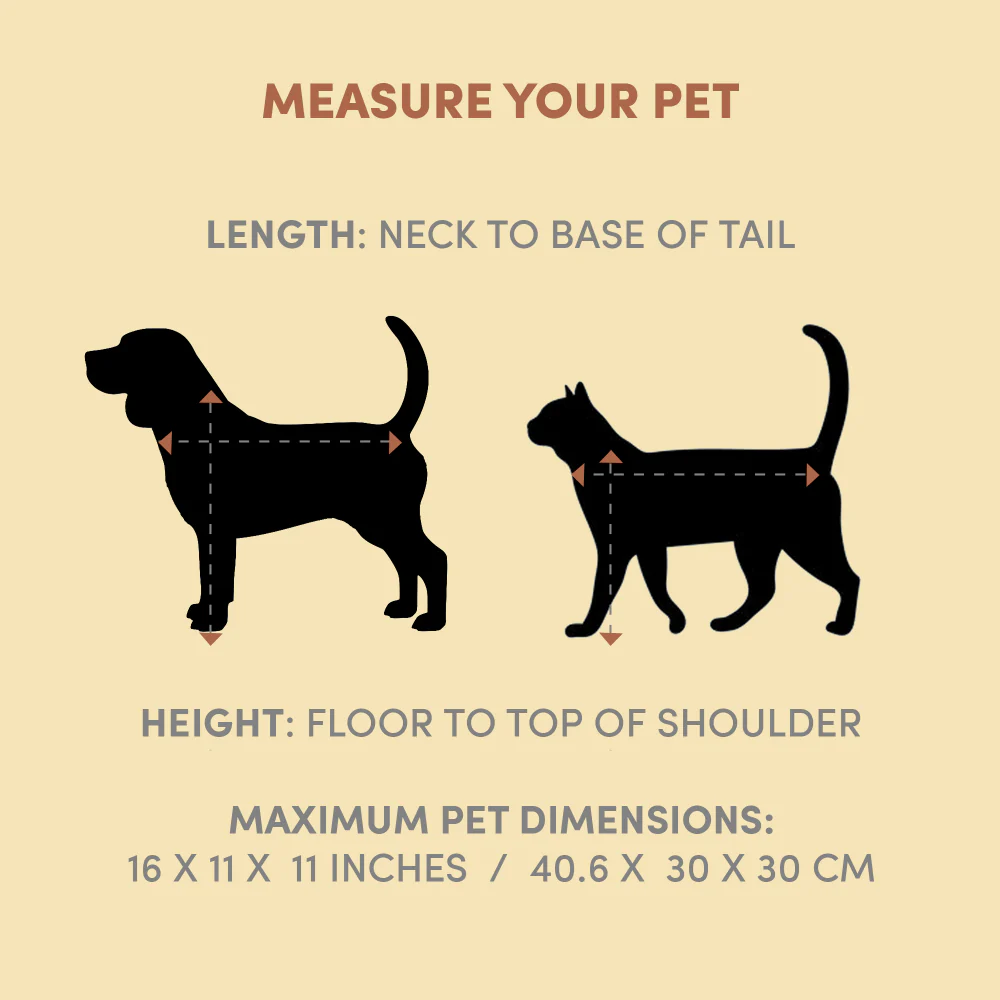 Barkbutler x Fofos Expandable Foldable Carrier for Dogs and Cats (Grey) - Image 7