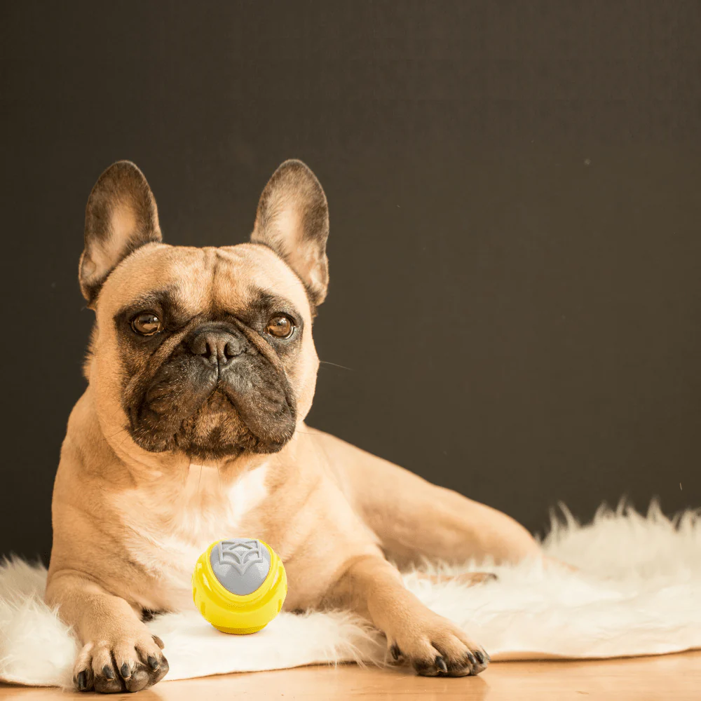 Barkbutler x Fofos Flexy Ball Ultra Bounce Toy for Dogs (Yellow & Grey) | For Aggressive Chewers - Image 6