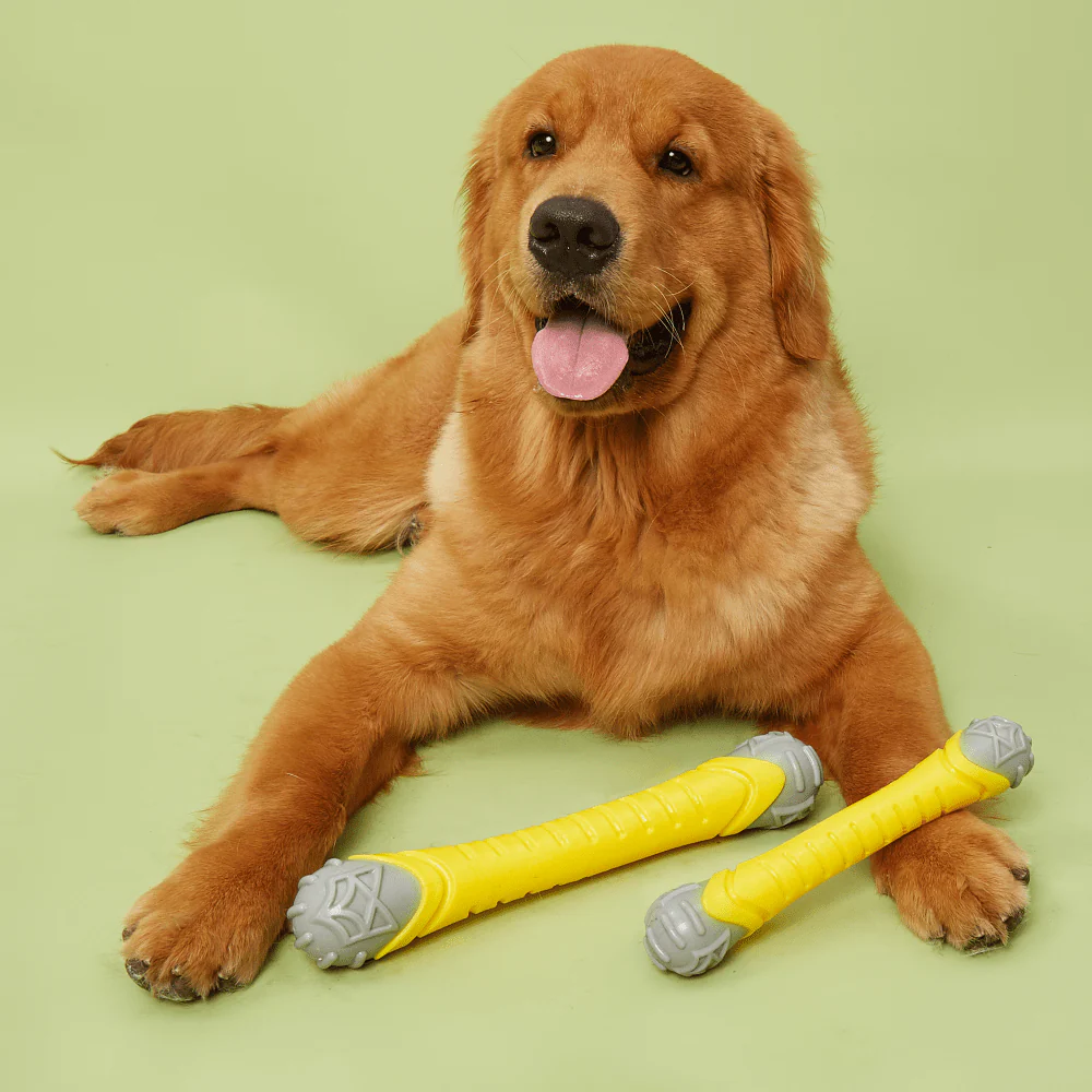 Barkbutler x Fofos Flexy Bone Chew Toy for Dogs - Image 6