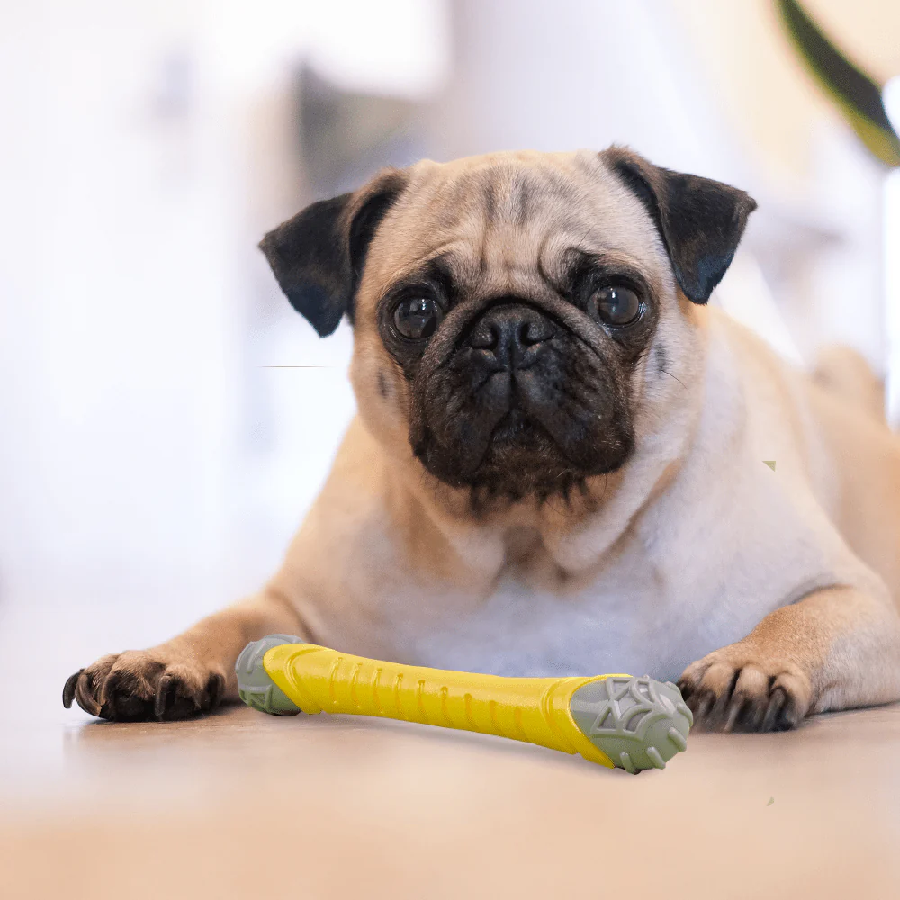 Barkbutler x Fofos Flexy Bone Chew Toy for Dogs - Image 8