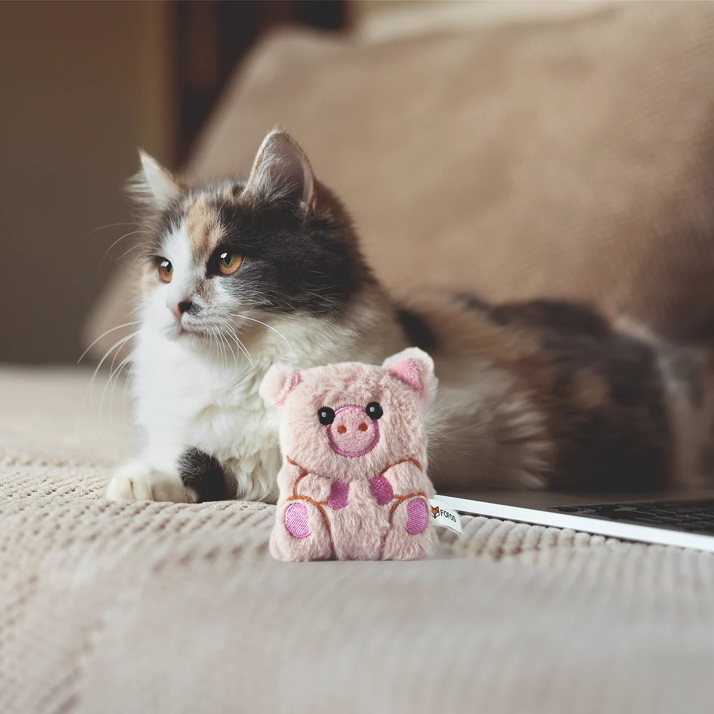 Barkbutler x Fofos Floppy Crinkle Pig Catnip Toy for Cats - Image 7