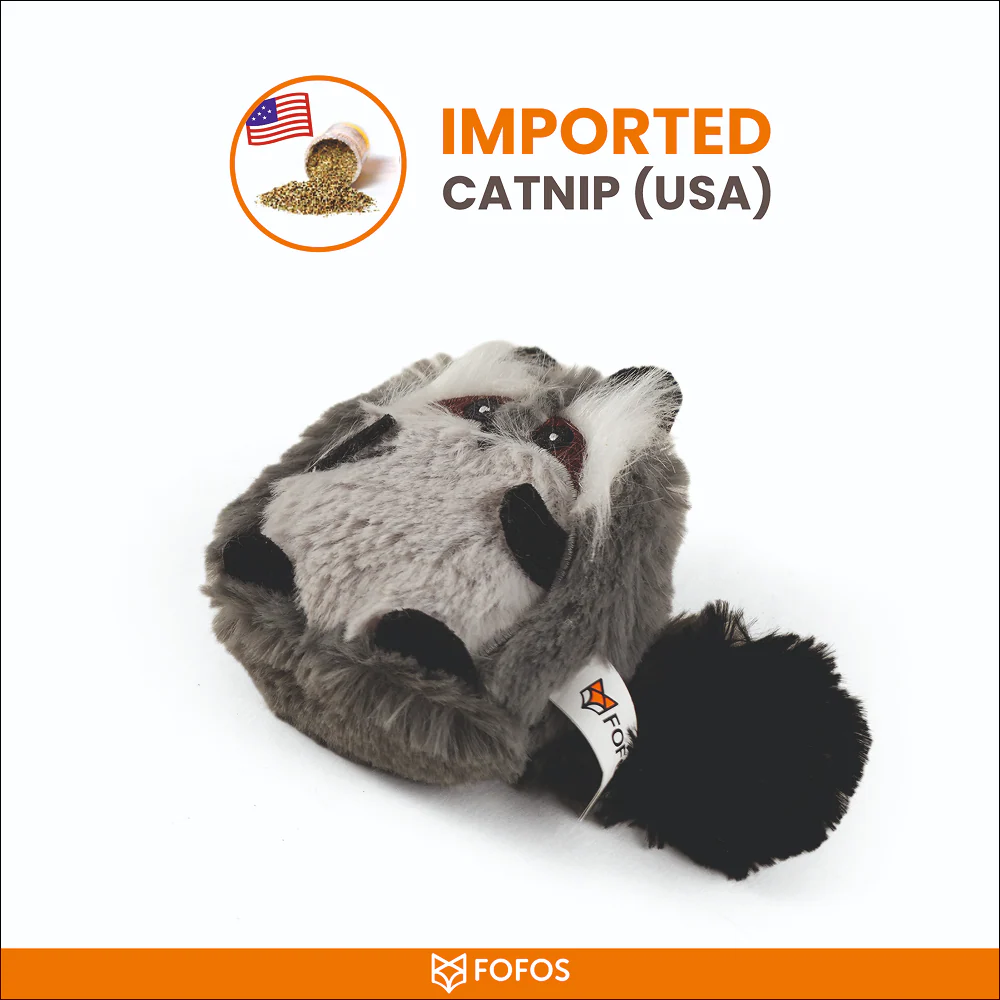 Barkbutler x Fofos Floppy Crinkle Raccoon Catnip Toy for Cats - Image 3