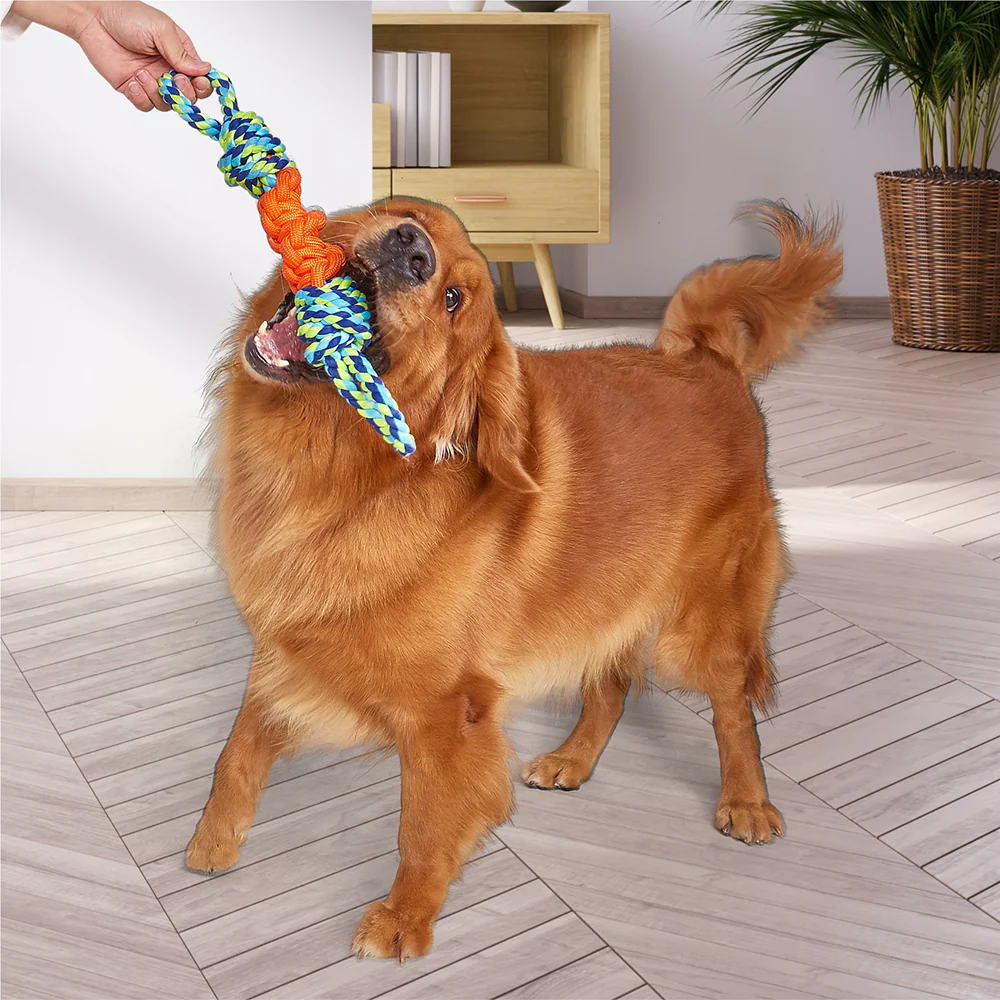 Barkbutler x Fofos Flossy Rope Toy for Dogs - Image 10