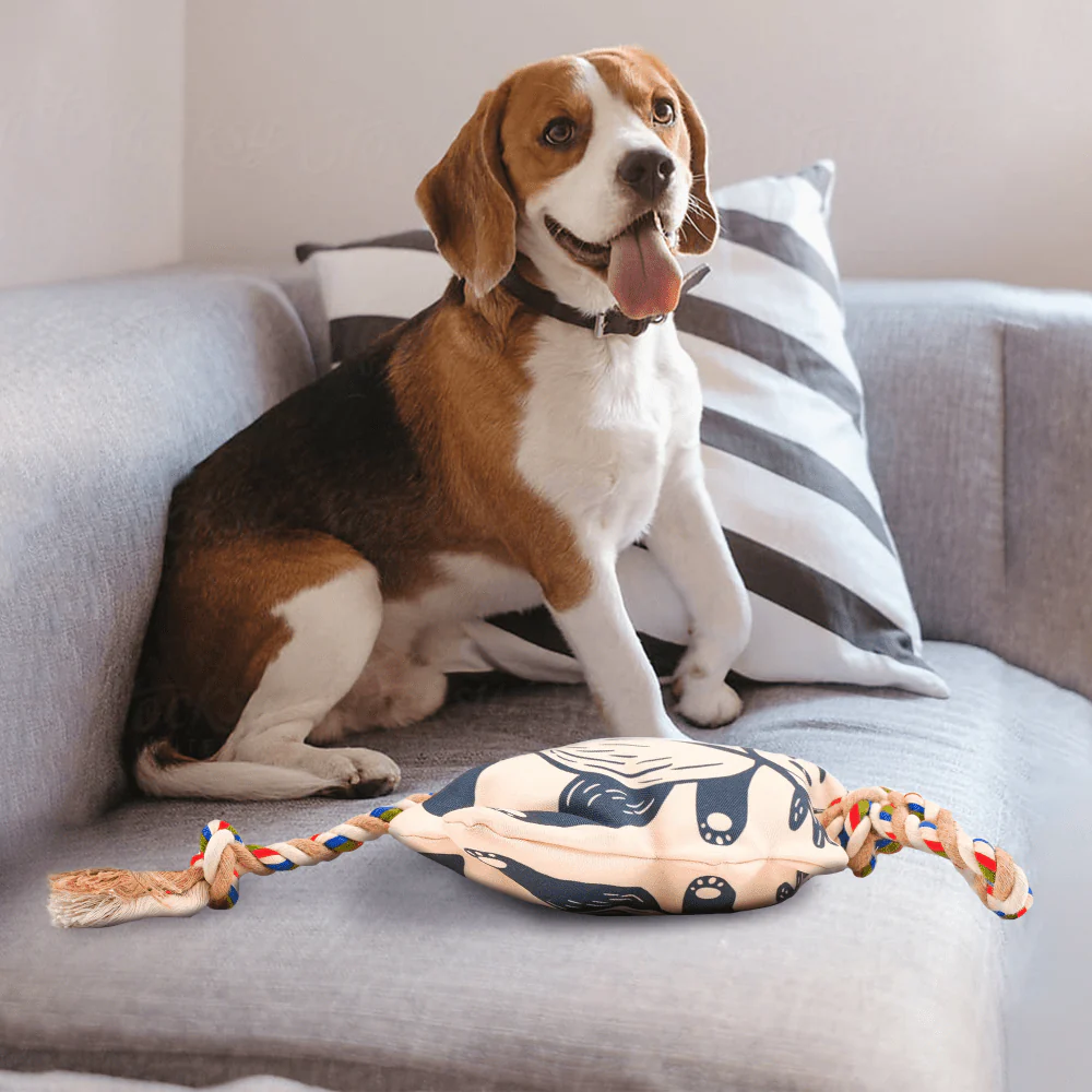 Barkbutler x Fofos Flossy Rope Toy With Panda for Dogs - Image 4