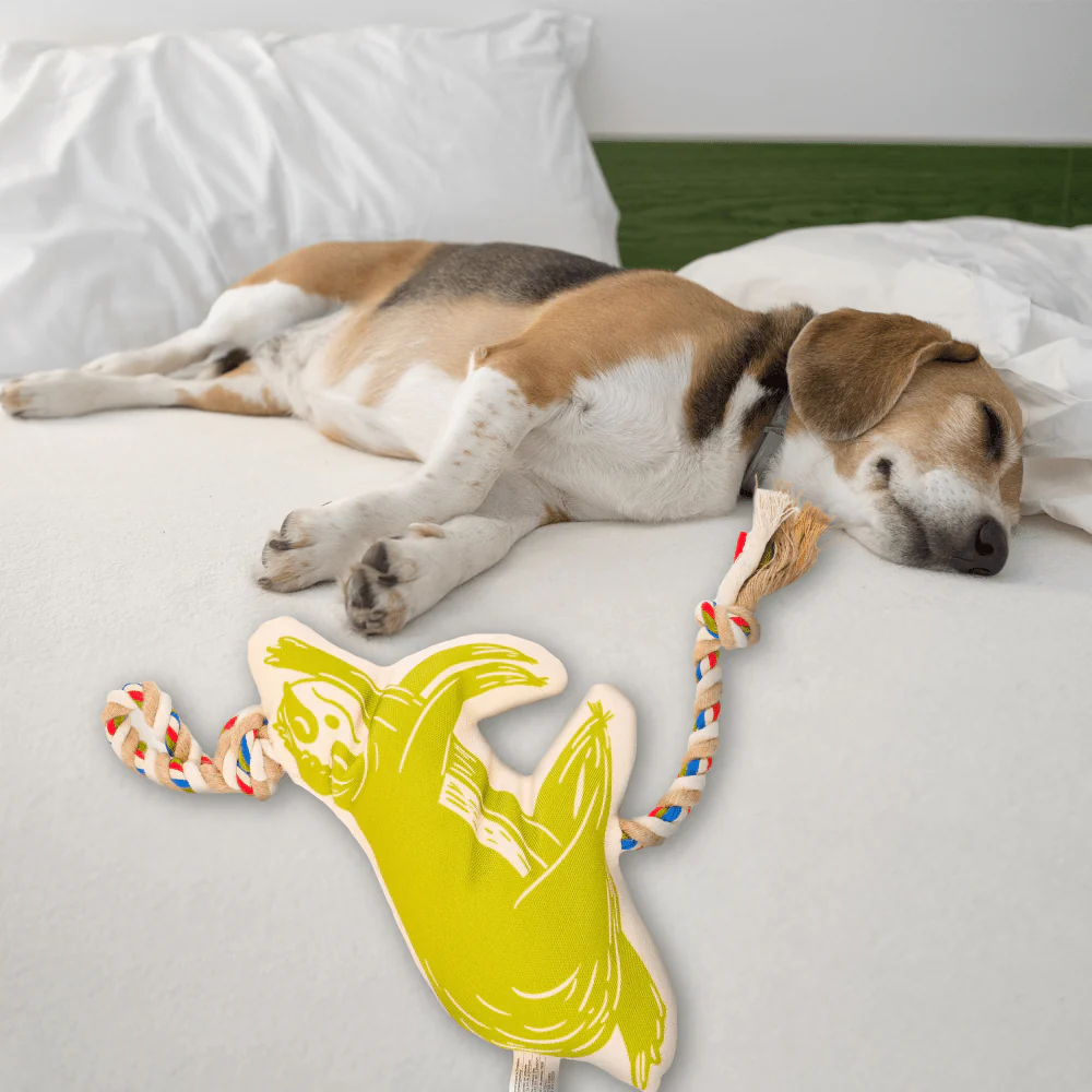 Barkbutler x Fofos Flossy Rope Toy With Sloth for Dogs - Image 7