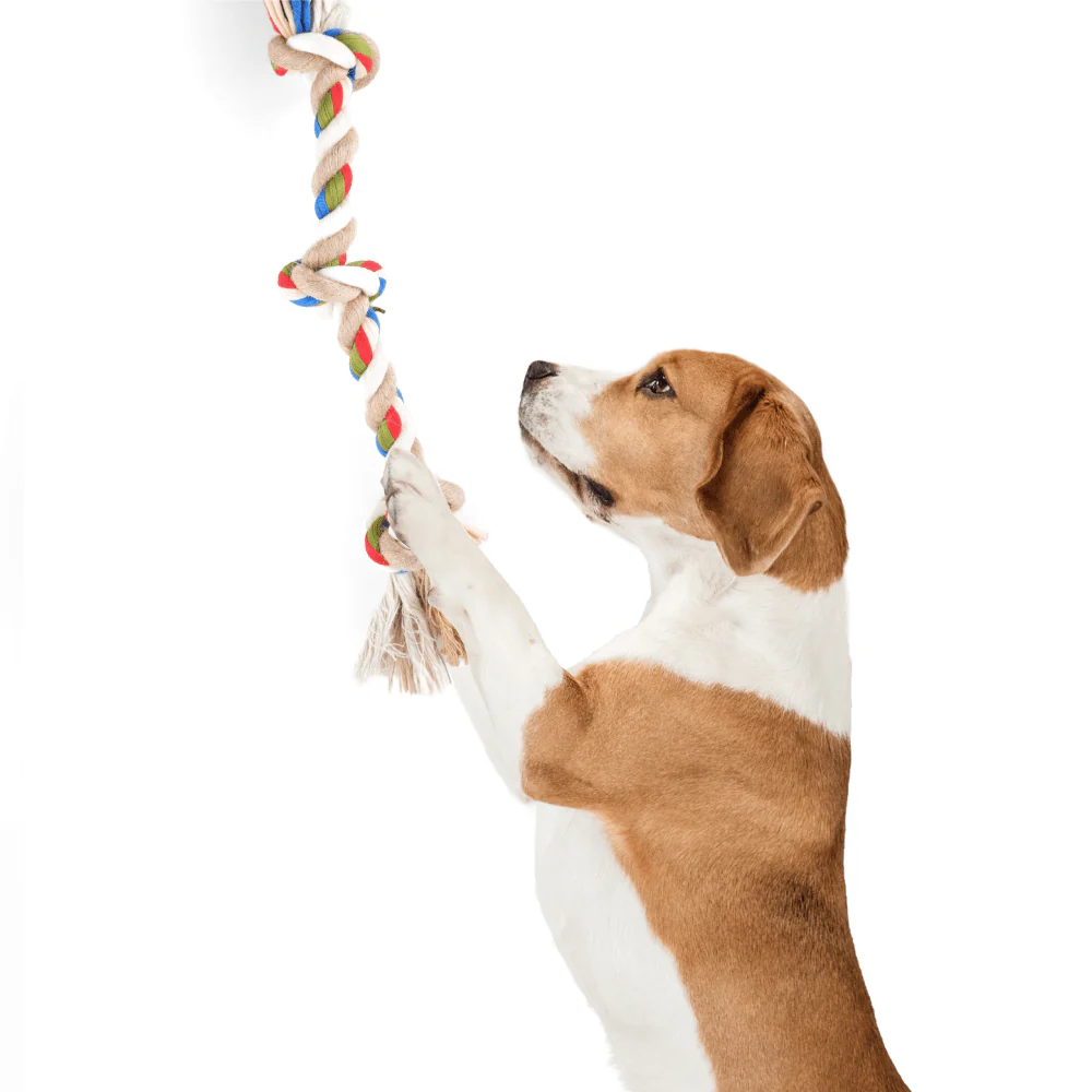 Barkbutler x Fofos Flossy Three Knots Rope Toy For Dogs - Image 8