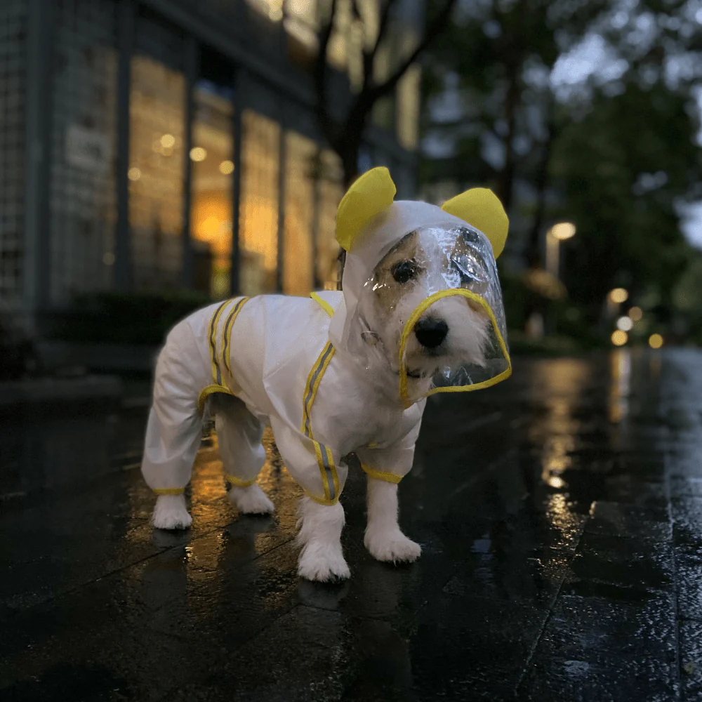 Barkbutler x Fofos Four Leg Yellow Raincoat for Dogs (Button Up Style) - Image 7