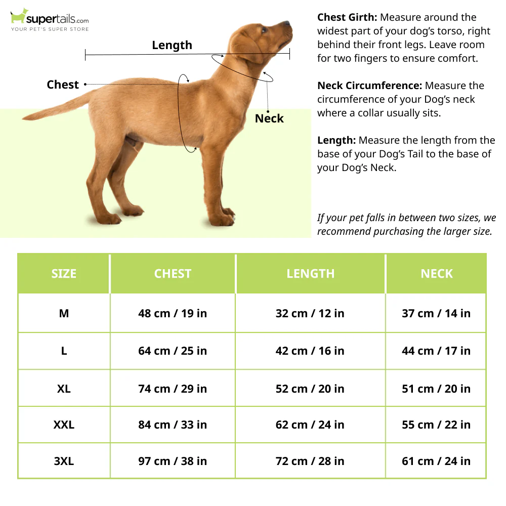 Barkbutler x Fofos Four Leg Black Raincoat for Dogs (Button Up Style) - Image 7